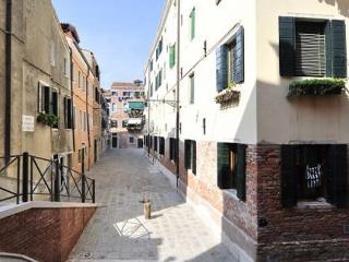 Biennale 252 * Venecia